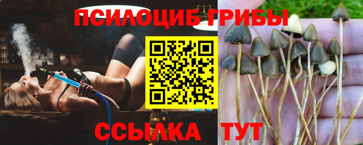 Купить наркотик  КОКАИН  Вход с VPN  Alpha PVP СОЛЬ кристаллы  Гашиш  ЭКСТАЗИ  Великий Устюг  Каннабис  МЕФ  